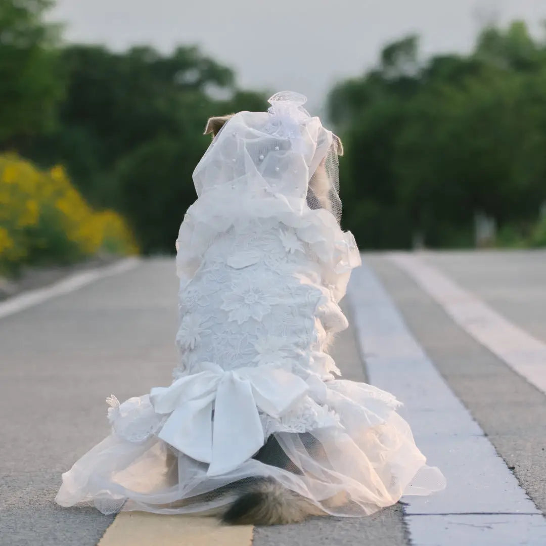 Dog Matching Wedding Dresses With Veil,