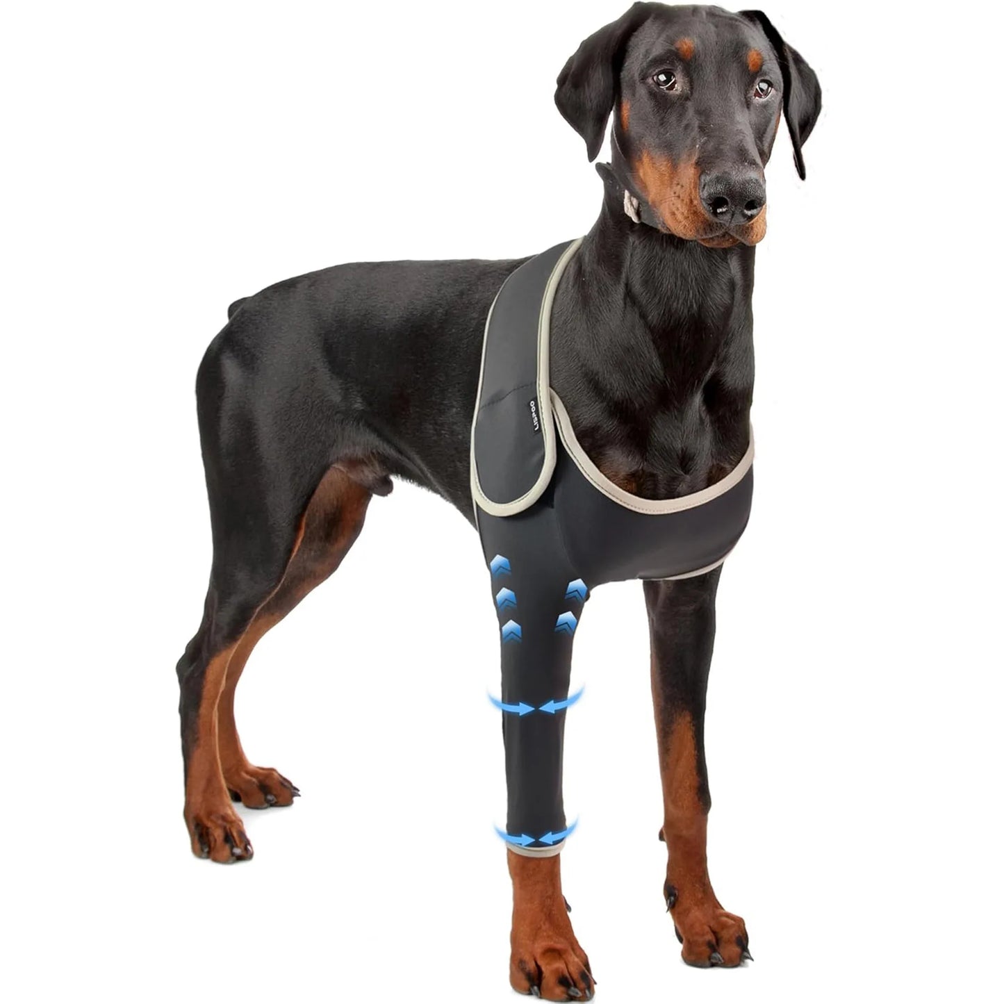 Adjustable Dog Knee Brace, for Front Legs Joint Pain Relief Support (Velcro)