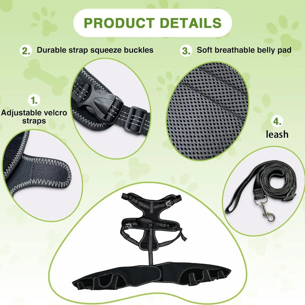 Dog Hinde Leg Brace Support for Knee Brace with Traction Rope