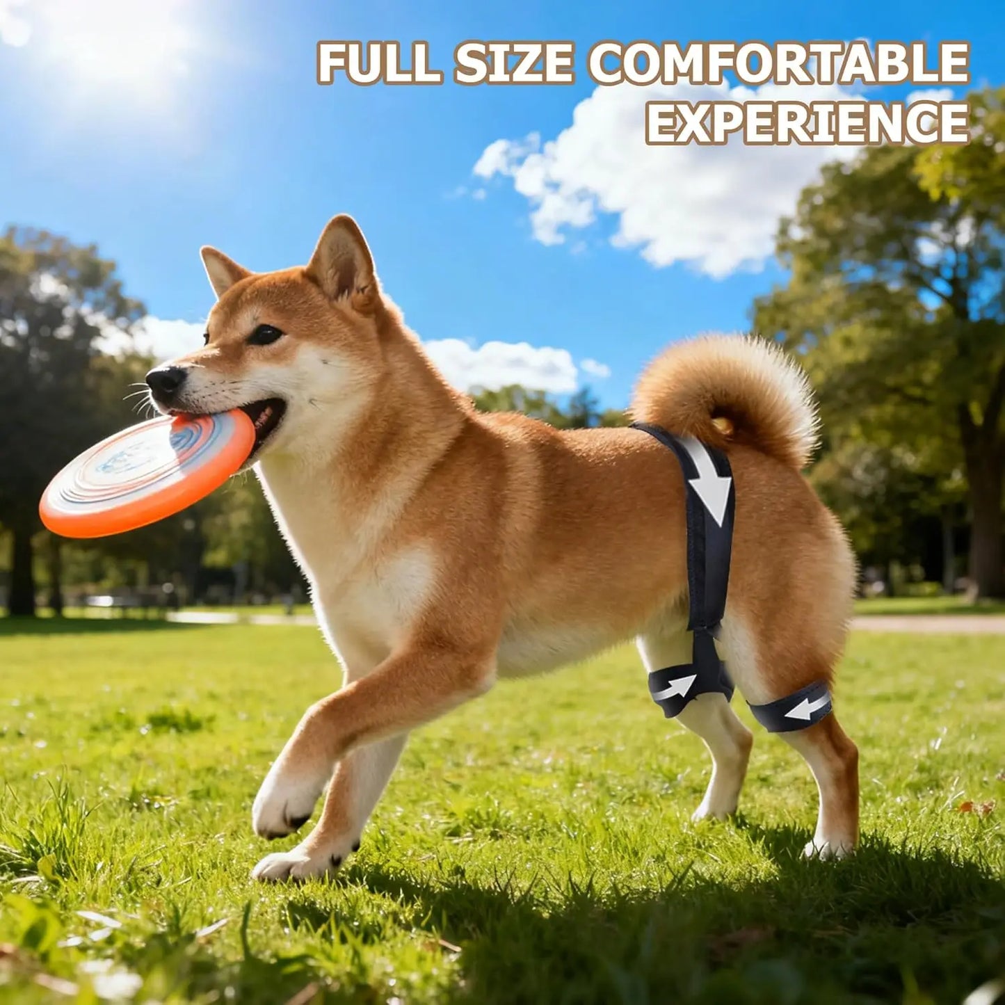 Dog Hip Brace for Hip Dysplasia, Pet Joint Pain Relief Brace