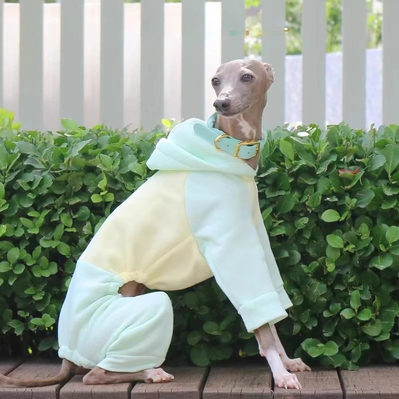 Four-Feet Dog Pajamas Jumpsuit ,Greyhound Whippet Large Breed