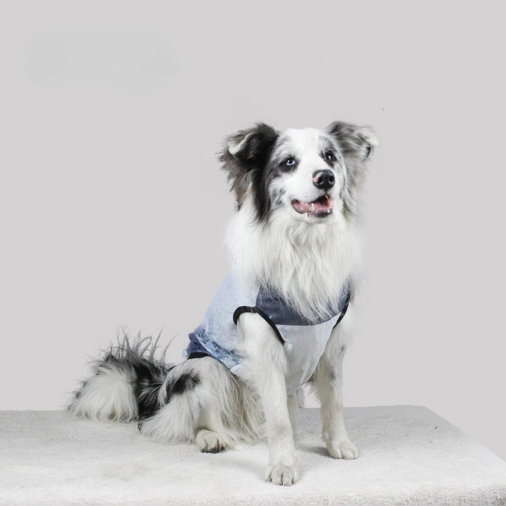 2Pack Dog Tank Tops | Tie Dye Lightweight Puppy Vest