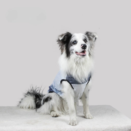 2Pack Dog Tank Tops | Tie Dye Lightweight Puppy Vest