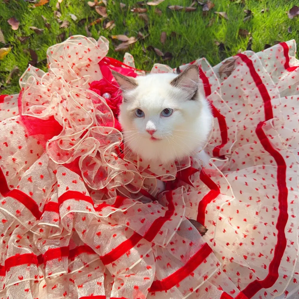 Luxury Dog Cake Puff Dress,Flamingo Red Color