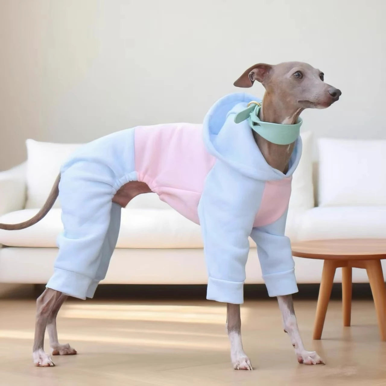 Four-Feet Dog Pajamas Jumpsuit ,Greyhound Whippet Large Breed