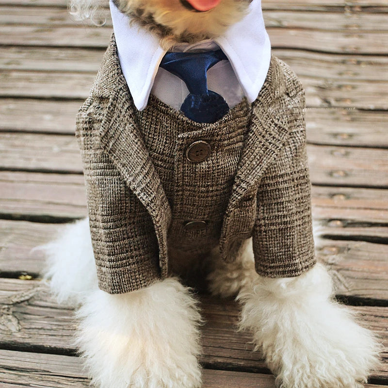 Peaky Blinder Boys' Suit,Slim Fit For Dogs
