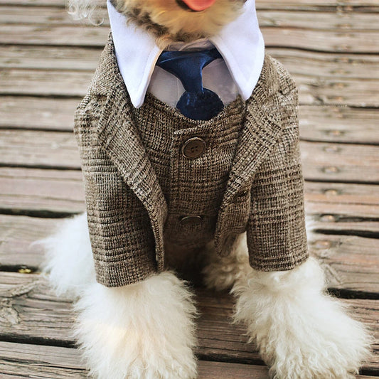 Peaky Blinder Boys' Suit,Slim Fit For Dogs