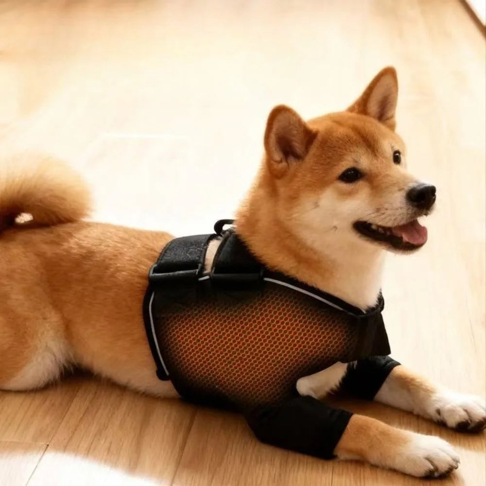 Professional Tourmaline Self-Heating Dog Shoulder Brace