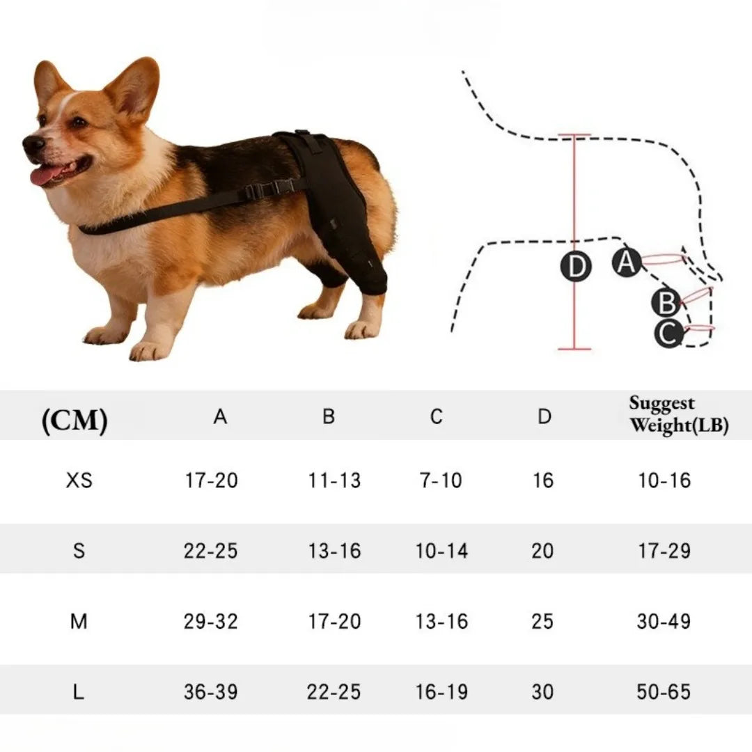 Dog Canine Rehabilitation Rear Leg Brace