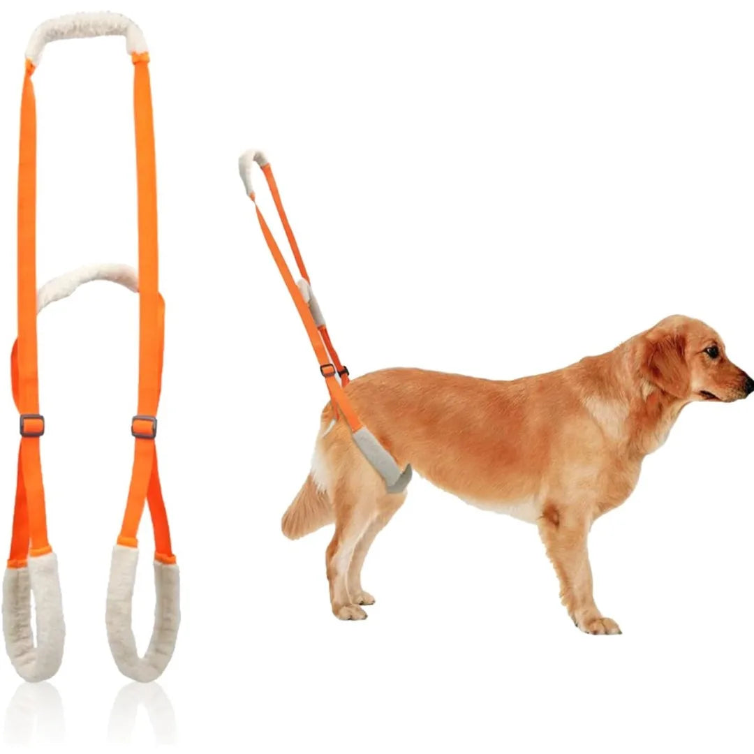 Sling Dogs Lift Back Legs Support Harness