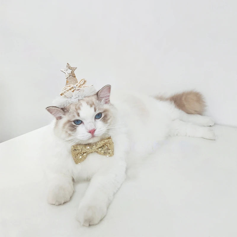 Birthday Hat for Boy Girl,Party Supplies Hat Bow Tie Set