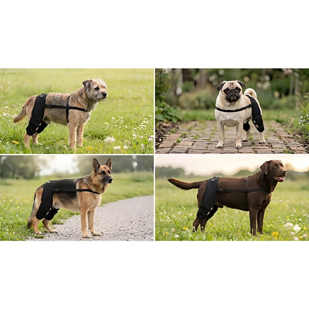 Dog Canine Rehabilitation Rear Leg Brace