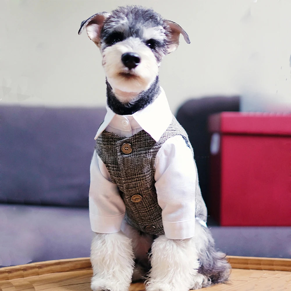 Peaky Blinder Boys' Suit,Slim Fit For Dogs
