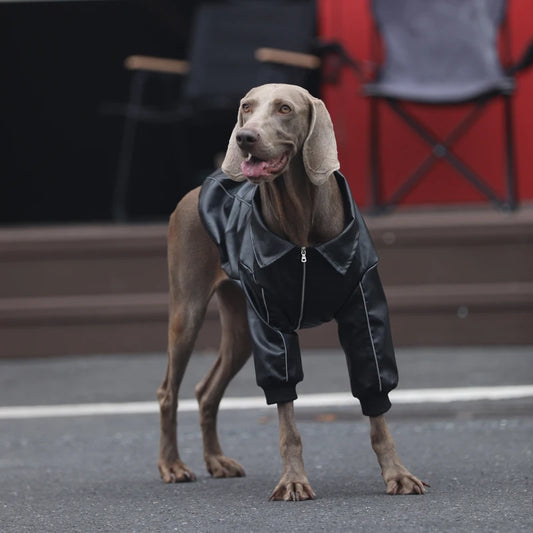 Zip-up PU leather Jacket for Large Dogs