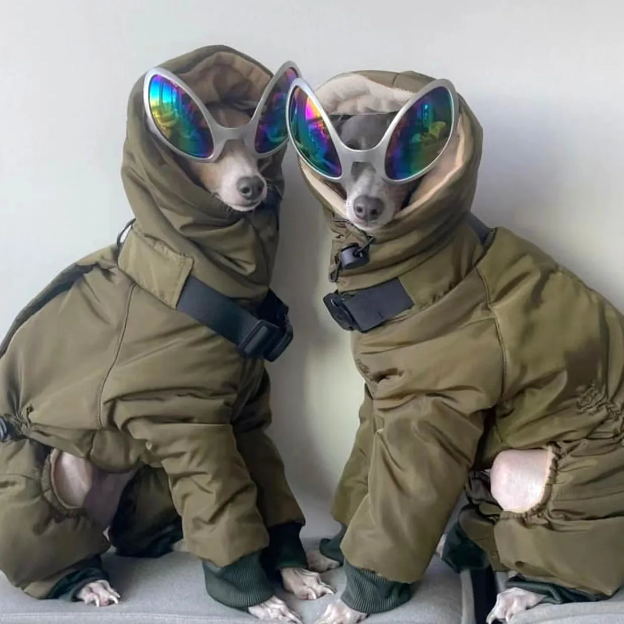 Winter Dog Jacket,Thickened Warm Outfits Greyhound Whippet