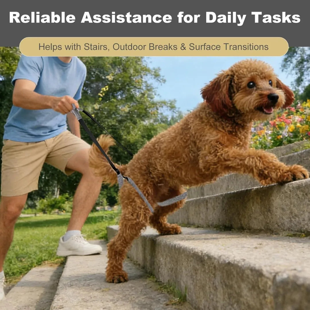 Sling Dogs Lift Back Legs Support Harness