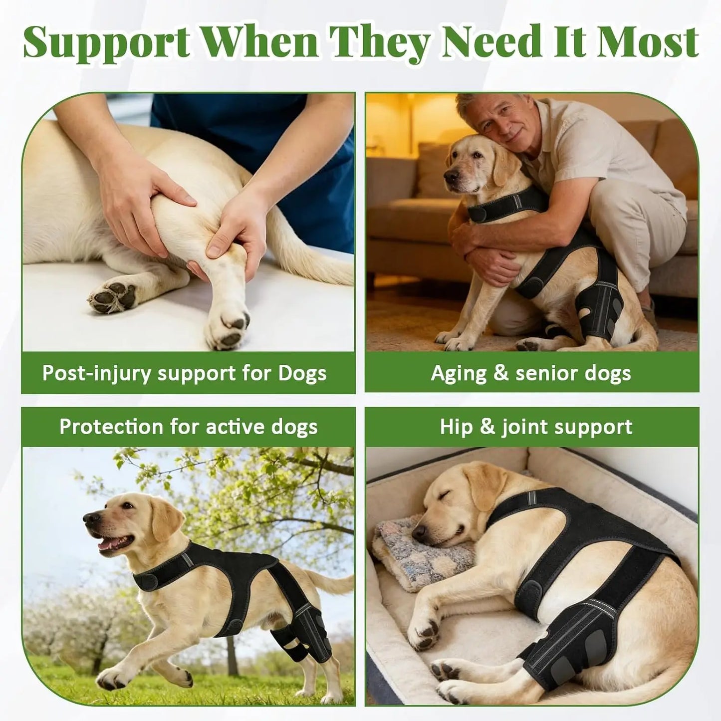 Dog Knee Braces for Hind Leg,Knee Brace Support