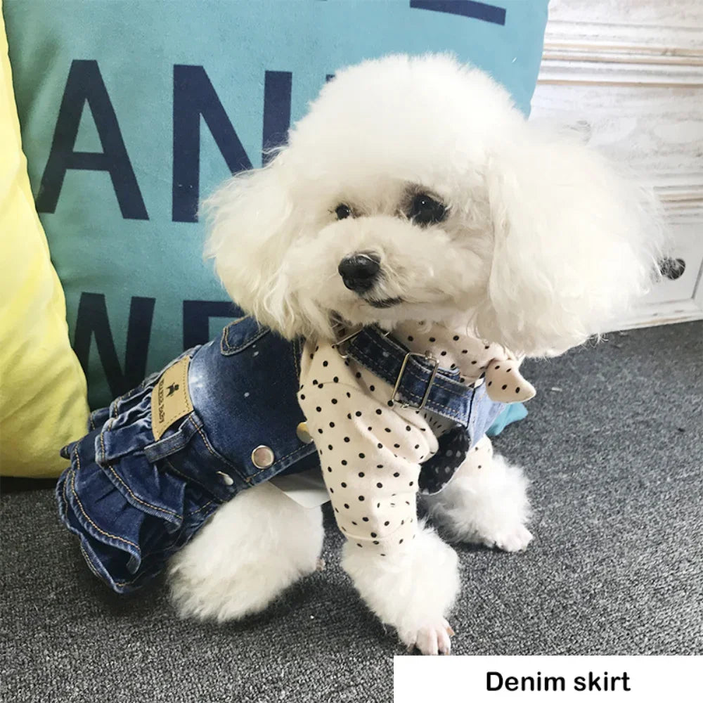 Denim Skirt for Small Dogs, Puppy Jeans Jumpsuit