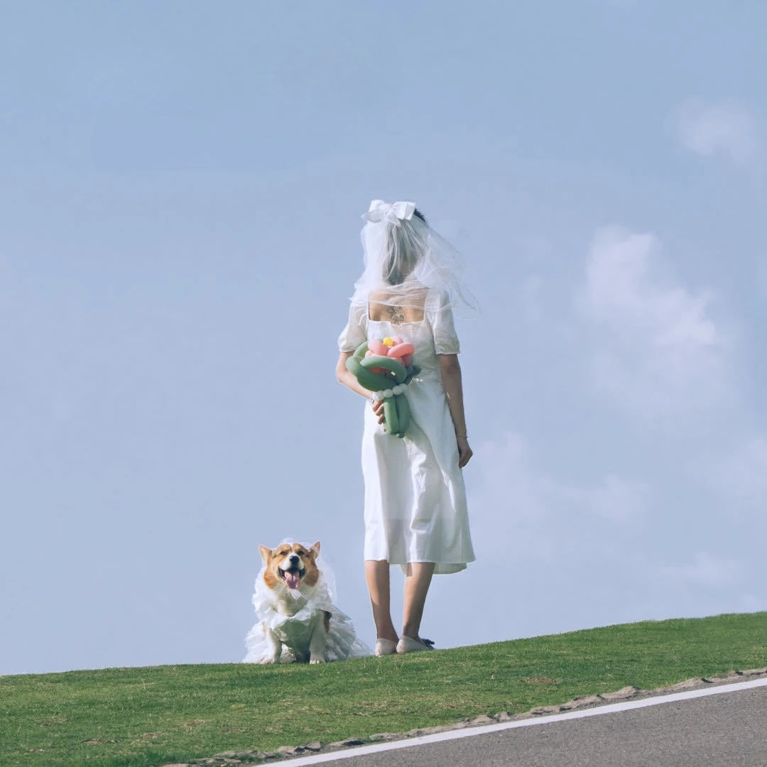Dog Matching Wedding Dresses With Veil,